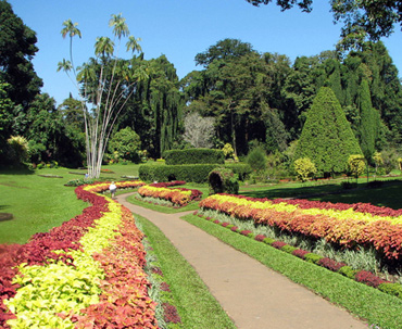 Peradeniya Garden